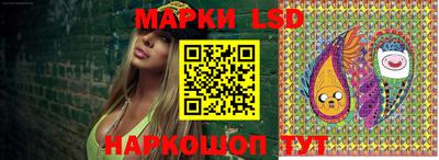 гидропоника Заводоуковск