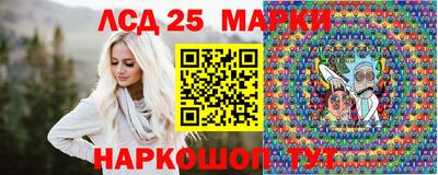 гидропоника Заводоуковск