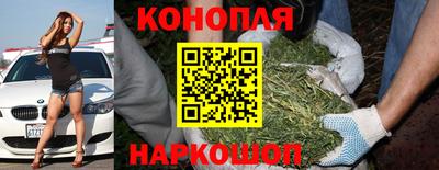 гидропоника Заводоуковск