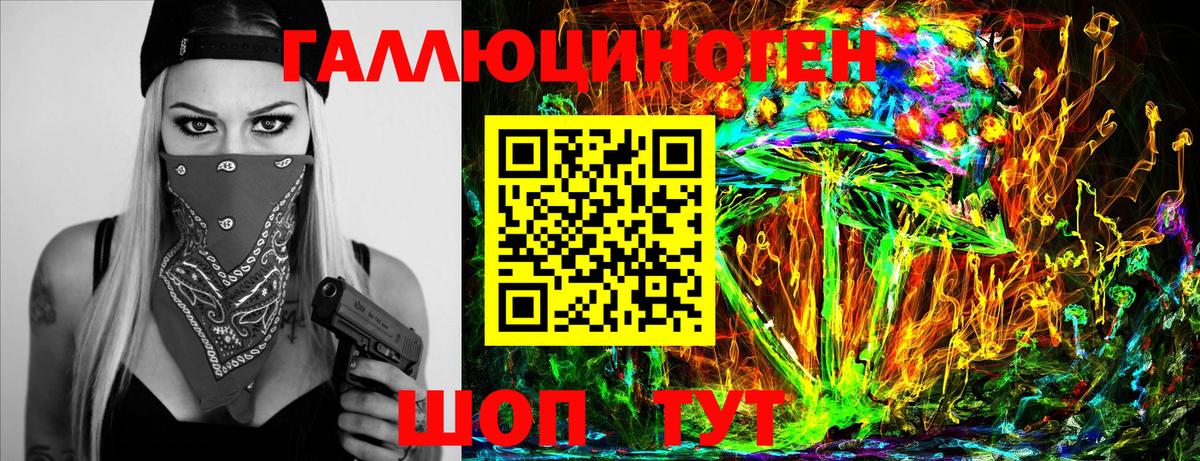 Псилоцибиновые грибы мицелий Новосибирск