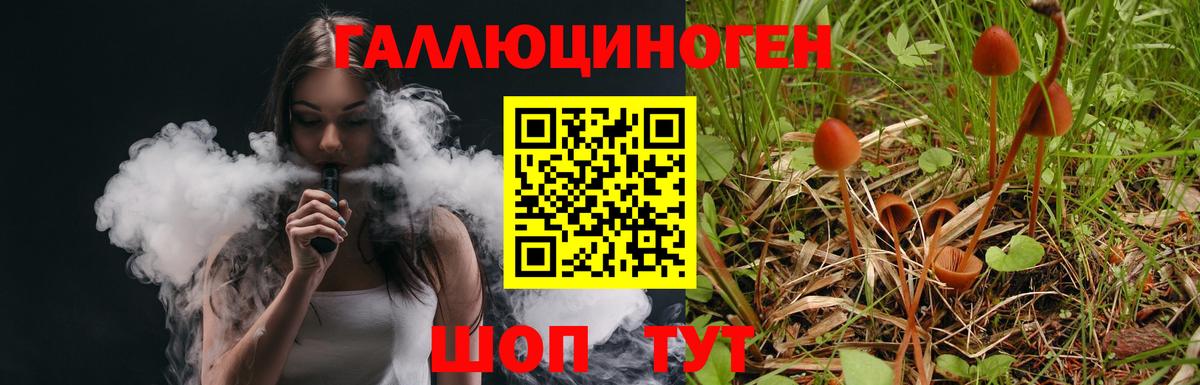 Галлюциногенные грибы MAGIC MUSHROOMS  Вход с VPN  Новосибирск 